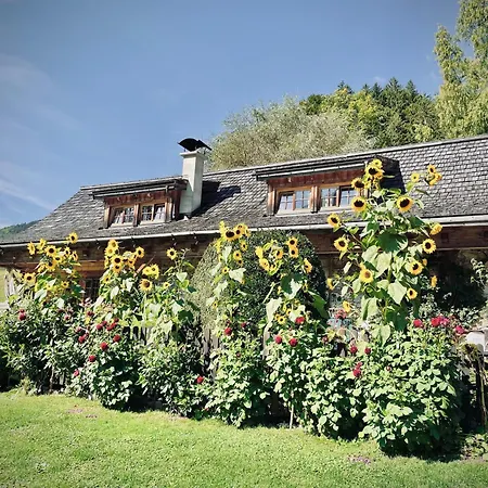 Rafting Camp - Kamp alanı Palfau